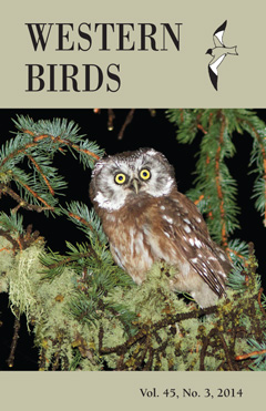 Western Birds Journal