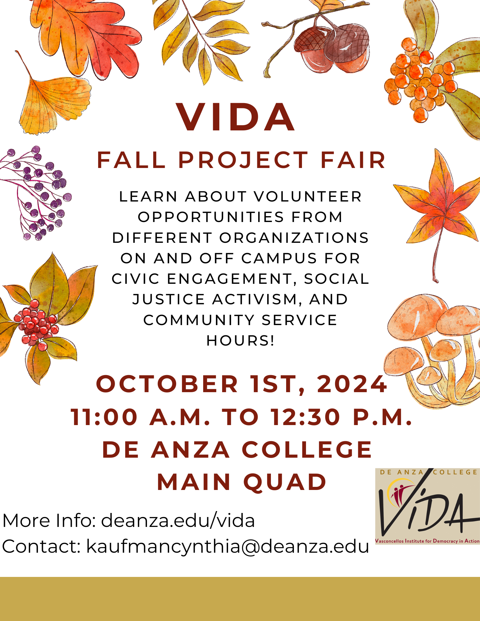 VIDA Project Fair Fall 2024